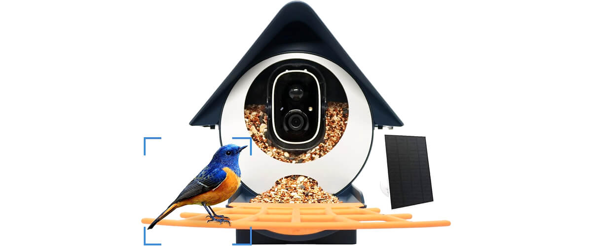 Birdkiss Smart Bird Feeder features