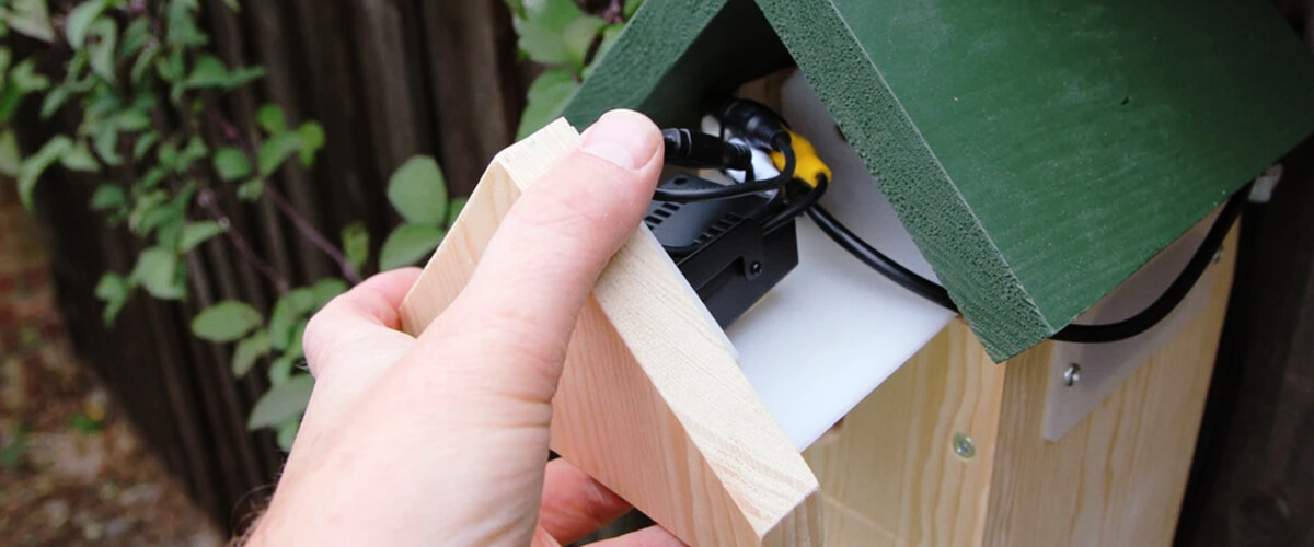 how to choose the best birdhouse camera?