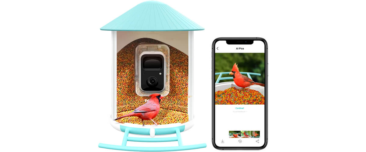 NETVUE Birdfy Feeder AI