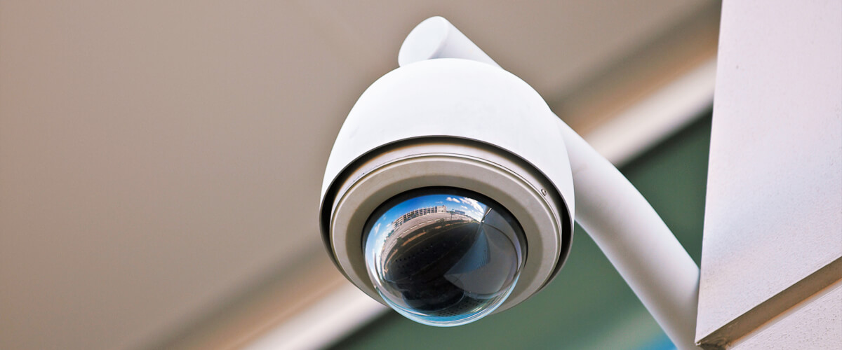 common characteristics of fake security cameras